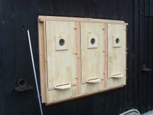 Display Bee Hive back side. Display Bee Hive back side.